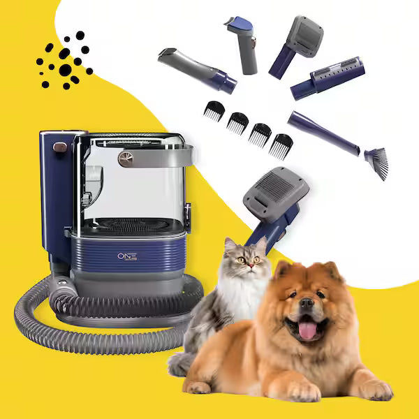 GROOMING AND CLEANING