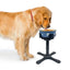 Adjustable Elevated Dog Food Bowls Stand Anti Slip Stability Pet Bowl Holder For Medium And Large Pets Pet Water Food Bowl
