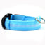 Safety Dog LED Collar