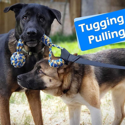 Pet Dog Tug Of War Rope Indoor Outdoor Bite Rope Toy