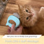 Say Goodbye To Tangled Hair The Ultimate Pet Grooming And Deshedding Tool For Long And Short Hair Dogs Cats Puppies And Bunnies