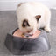 Pet Dog Bowl Floating Not Wetting Mouth Cat Bowl No Spill Drinking Water Feeder