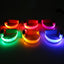 Safety Dog LED Collar